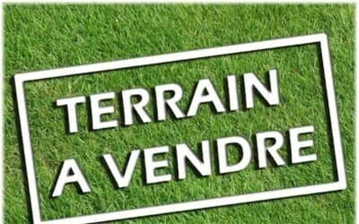 Vente Terrain Alger Hammamet