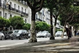 Vente Local Alger Alger centre