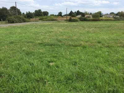 Cherche achat Terrain Alger Dar el beida