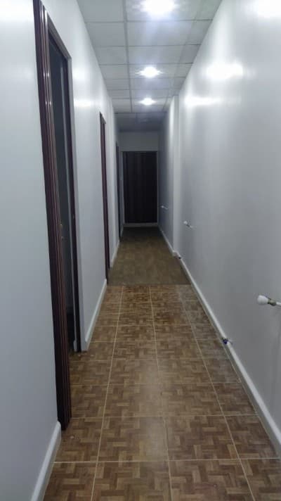 Location Local Alger Dely brahim