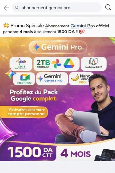 Gemini pro
