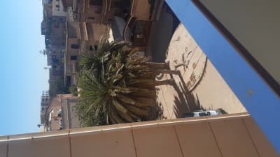 Vente Duplex Alger Ain benian