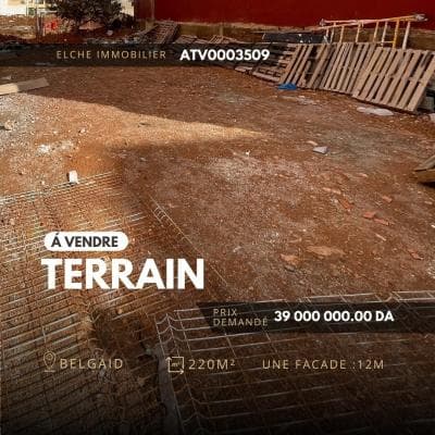 Vente Terrain Oran Bir el djir