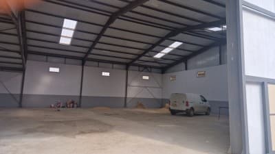 Location Hangar - Usine Alger Les eucalyptus