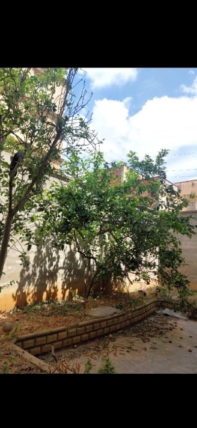 Vente Villa Alger Mohammadia