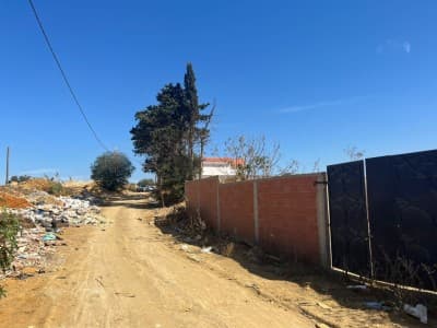 Vente Terrain Agricole Alger Ouled fayet
