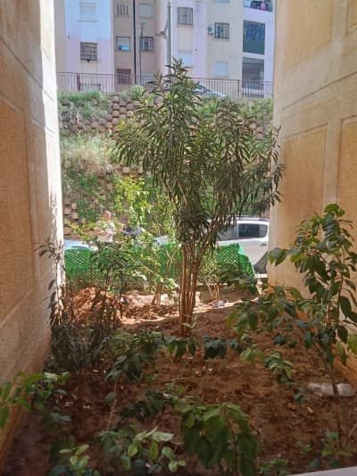 Vente Appartement F3 Alger Birkhadem