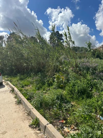 Vente Terrain Alger Birkhadem