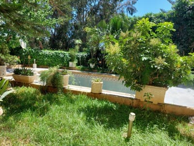 Location Villa Alger Chevalley