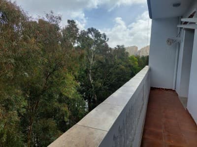 Location Appartement F4 Alger Dely brahim