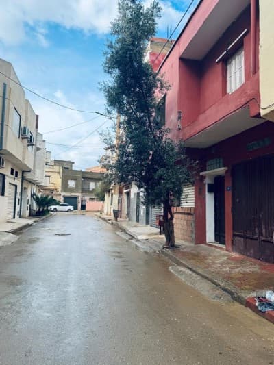 Vente Villa Oran Bir el djir