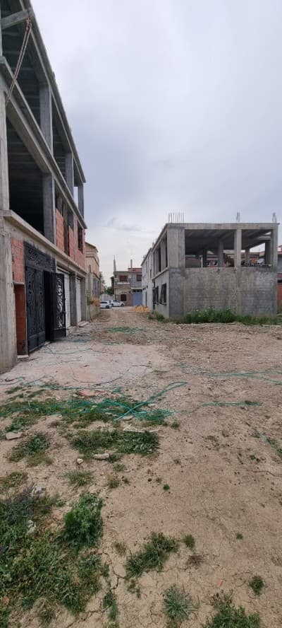 Vente Terrain Alger Tessala el merdja