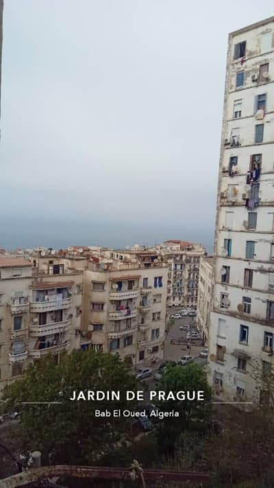Vente Appartement F2 Alger Bab el oued