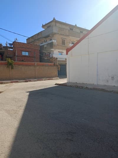 Location Hangar - Usine Blida Blida