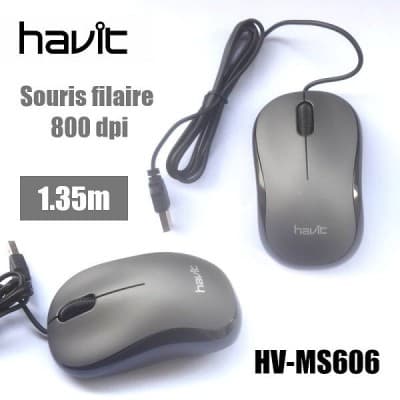 SOURIS HAVIT SIMPLE HVMS606