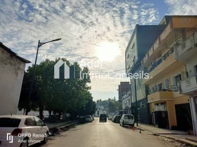 Location Local Annaba Annaba