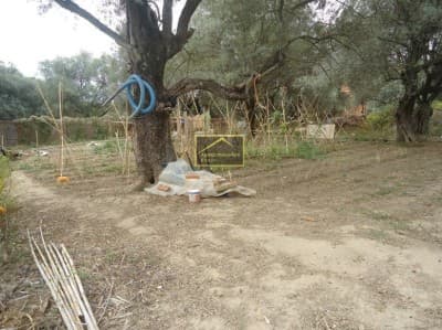 Vente Terrain Béjaïa Bejaia