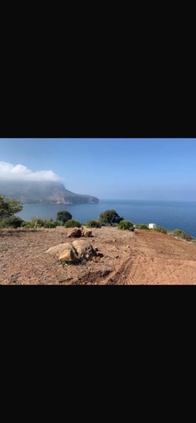 Vente Terrain Chlef Chlef