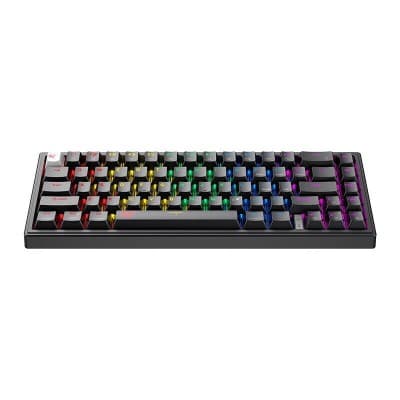 HAVIT KB874L - CLAVIER MÉCANIQUE GAMING - RGB BACKLIT - SWITCHES RED - 67 TOUCHES - COMPACT - BLACK