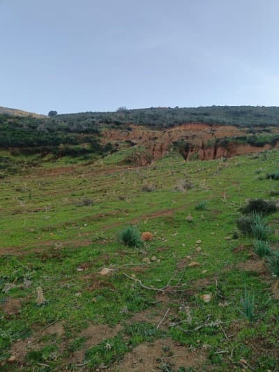 Vente Terrain Boumerdès Larbatache