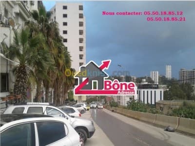 Vente Terrain Annaba Annaba