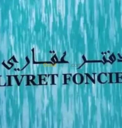 Vente Terrain Alger El biar