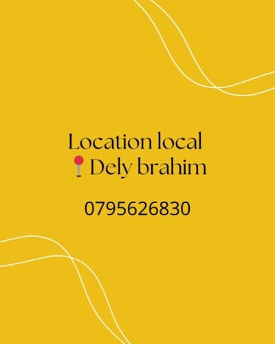 Location Appartement F3 Alger Dely brahim