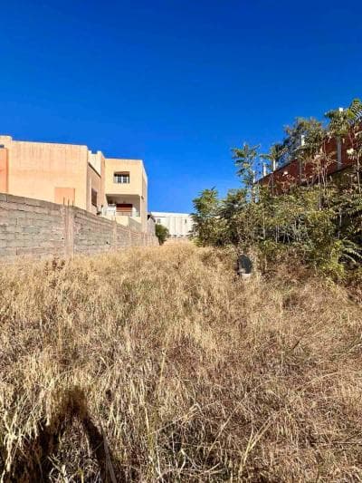 Location Terrain Blida Blida