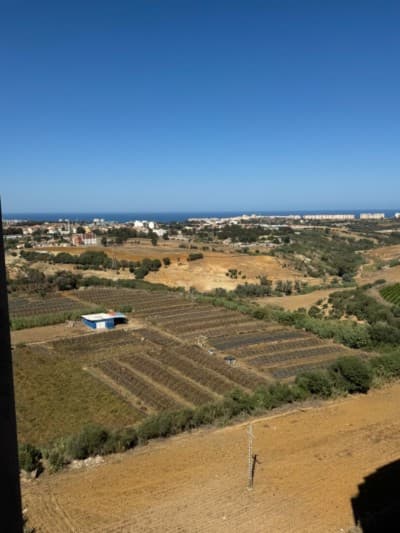 Location Appartement F4 Alger Cheraga