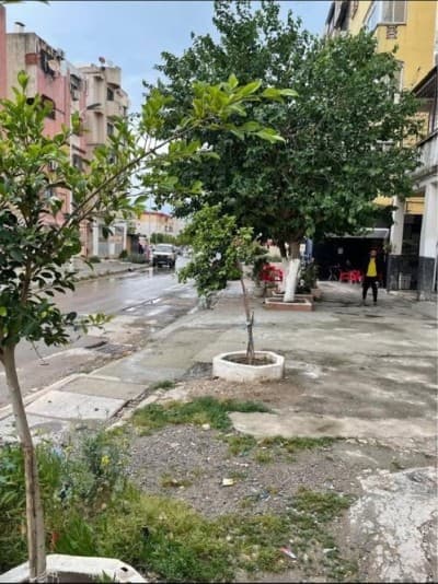 Vente Local Annaba Annaba