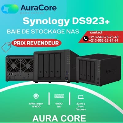 BAIE DE STOCKAGE NAS SYNOLOGY DS923+