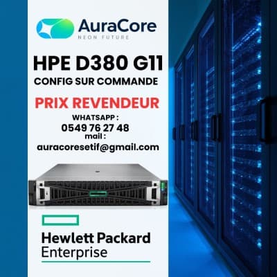 HPE DL380 G11