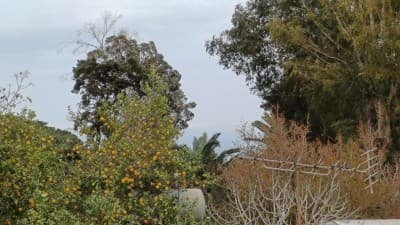 Vente Villa Alger El biar