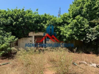 Vente Terrain Alger Saoula