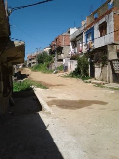 Vente Terrain Skikda Skikda