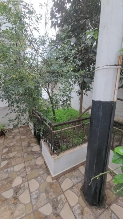 Vente Villa Alger Ouled fayet