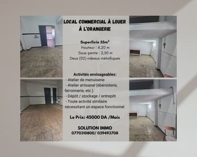 Location Local Annaba Annaba