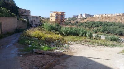 Vente Terrain Alger Cheraga