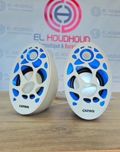 Haut-parleur Capsys SP237