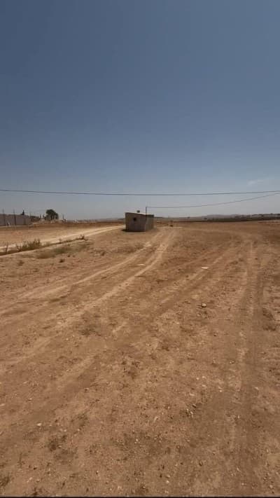 Vente Terrain Sidi Bel Abbès Sidi lahcene