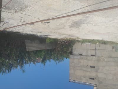 Vente Terrain Alger Cheraga