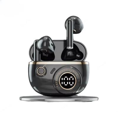 True Wireless In-Ear Headphons
