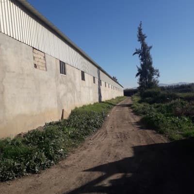 Location Terrain Agricole Blida Chebli