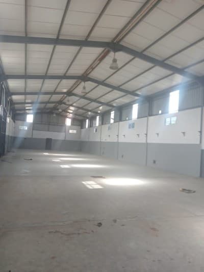 Location Hangar - Usine Alger Les eucalyptus