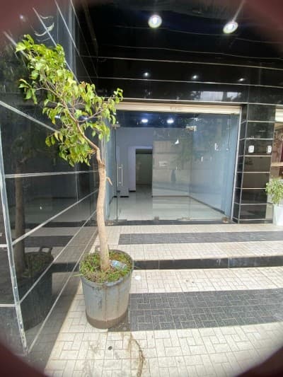 Location Local Alger Kouba