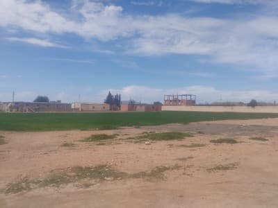 Vente Terrain Sidi Bel Abbès Amarnas