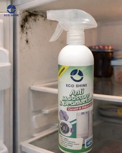 Anti-Moisissure spécial frigo ( cuisine)