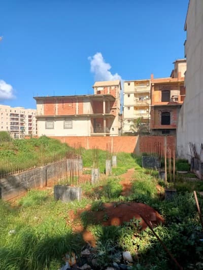 Vente Terrain Tipaza Fouka