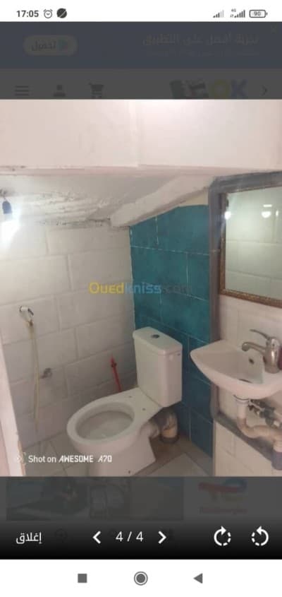Location Appartement Studio Alger Les eucalyptus