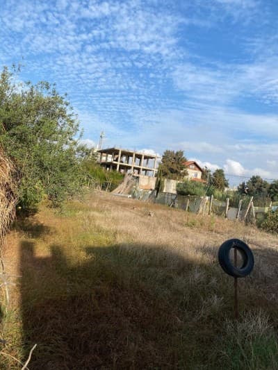 Vente Terrain Boumerdès Zemmouri
